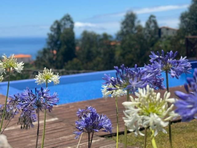 Modular Villa Calheta  Kültér fotó
