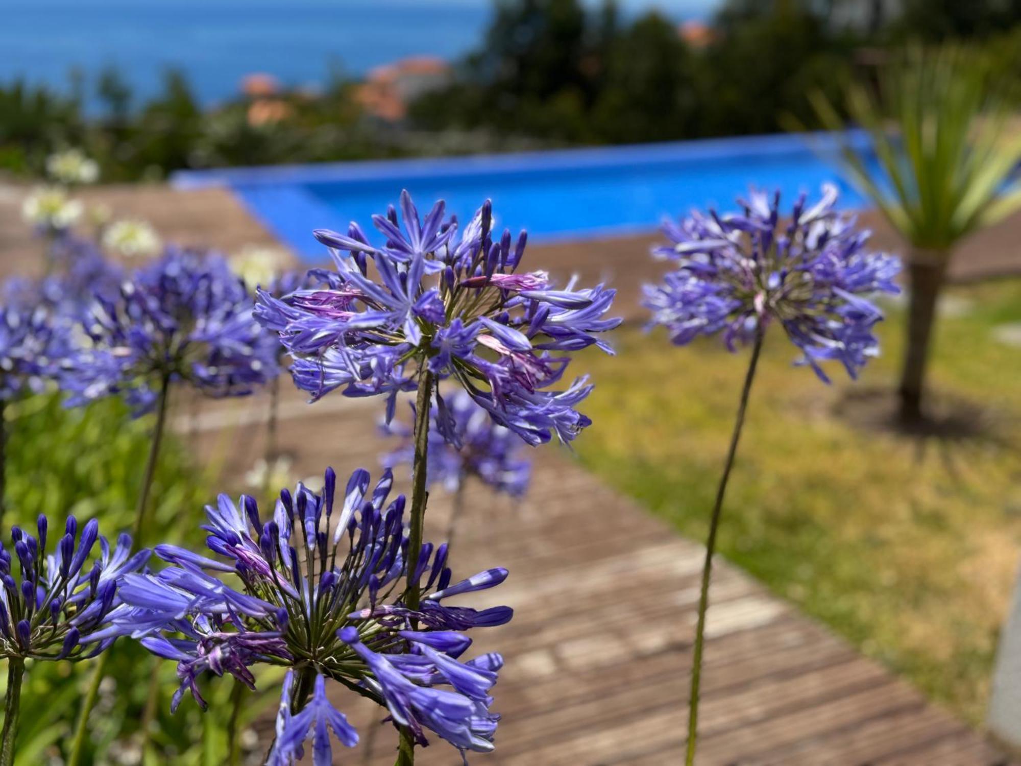 Modular Villa Calheta  Kültér fotó